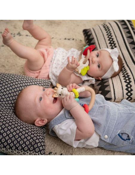 Bebés jugando con el sonajero mordedor