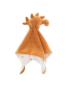 Doudou Igor