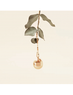 Chamador de Anjos Maçã 2