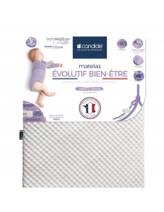 Colchón Evolutivo Bienestar 2