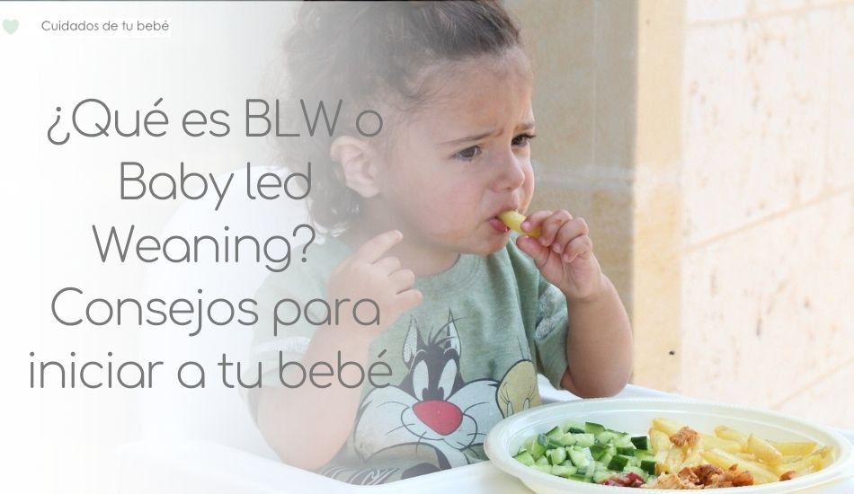 Con BLW comen menos que con papillas?